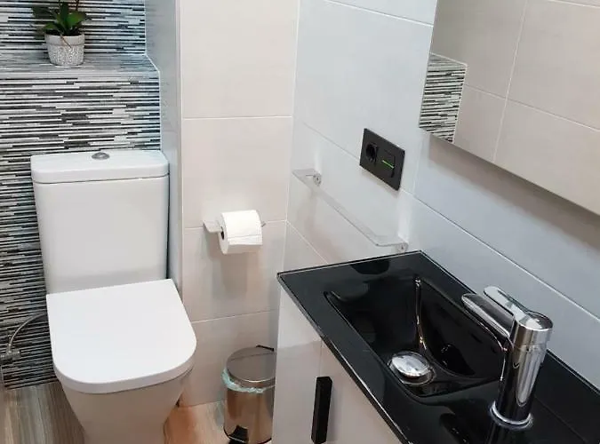 Vendégház Casa Carol *